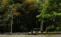 天马山国家森林公园